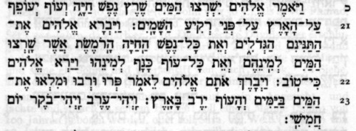 Genesis 1,20-23 in hebräischer Schrift