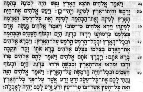 Genesis 1,24-29 in hebräischer Schrift