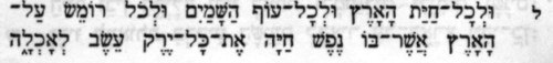 Genesis 1,30 in hebräischer Schrift