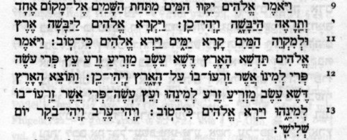Genesis 1,9-13 in hebräischer Schrift