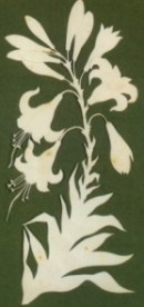 Philipp Otto Runge: Feuerlilie (Scherenschnitt)