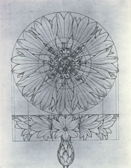 Konstruierte Kornblume, 1808